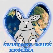 Królik w niebieskim serduszku